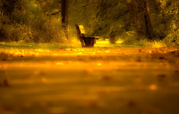 Дорога, осень, листья, свет, деревья, природа, настроение, Скамейка