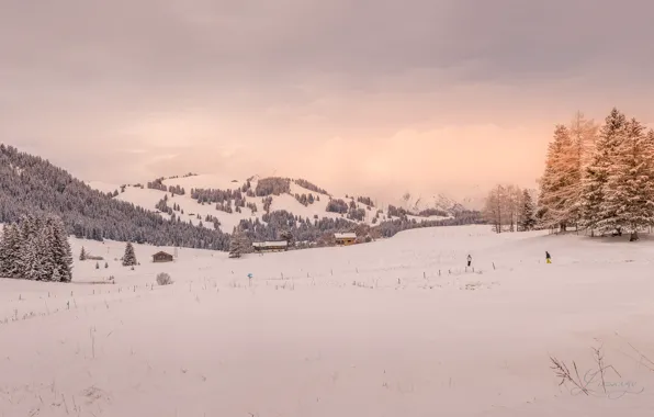 Зима, поле, лес, небо, облака, свет, снег, деревья