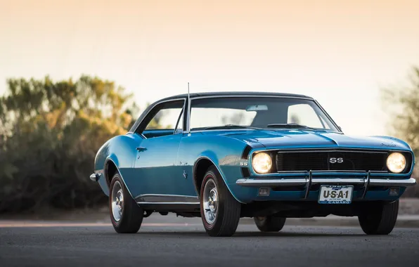 Картинка Chevrolet, retro, classic, 1967 Chevrolet Camaro SS