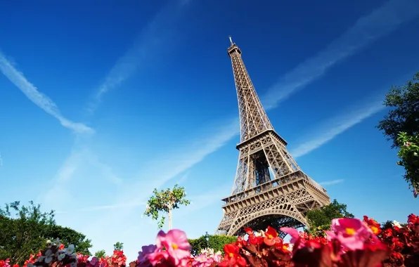 Картинка Paris, France, flowers, Eiffel Tower, architecture, building