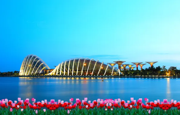 Цветы, город, здания, вечер, залив, Сингапур, тюльпаны, Singapore