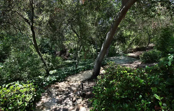 Картинка зелень, деревья, парк, Калифорния, дорожка, США, кусты, San Juan Capistrano