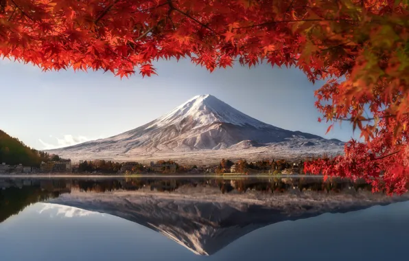 Картинка осень, листья, Фудзияма