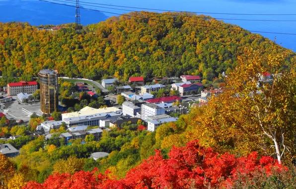 Осень, пейзаж, Петропавловск-Камчатский