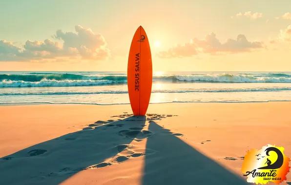 Logo, Surf, Amante, Prancha
