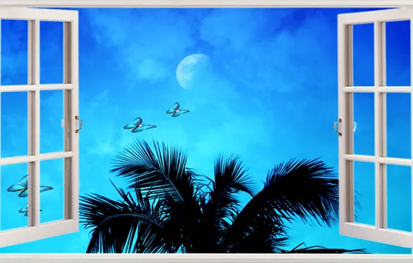 Blue, Beach, Ocean, Window, Tropical, Palms, Seashore