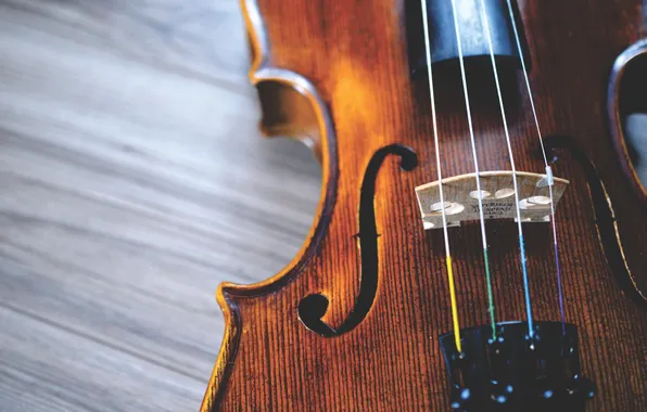 Wood, violin, bed