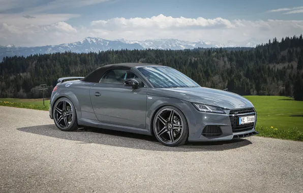 Roadster, Design, Grey, ABT, Audi TT