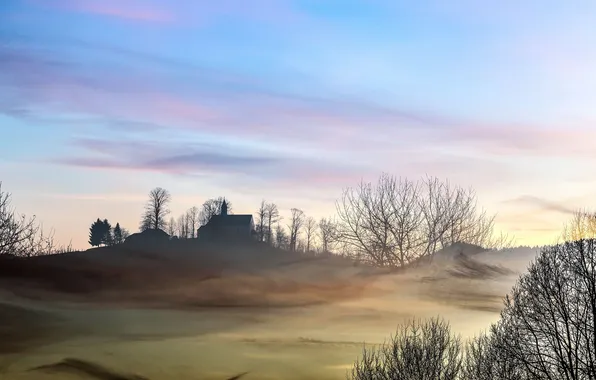 Картинка поле, туман, утро, храм