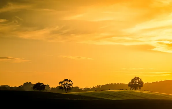 Пейзаж, закат, природа