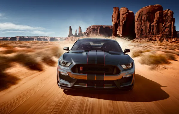Ford, Shelby, USA, Ford Mustang, desert, sand, GT350, 2019