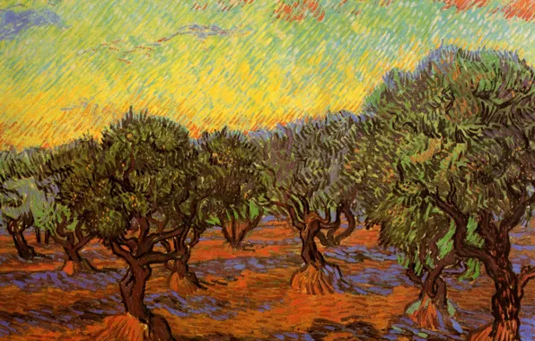 Картинка деревья, Vincent van Gogh, Orange Sky, Olive Grove