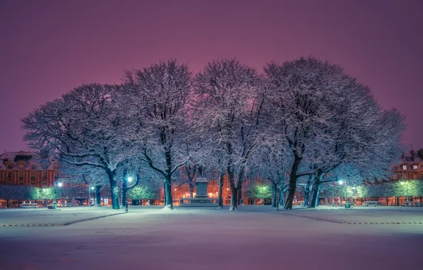 Картинка зима, снег, деревья, Франция, Париж, площадь, памятник, Paris