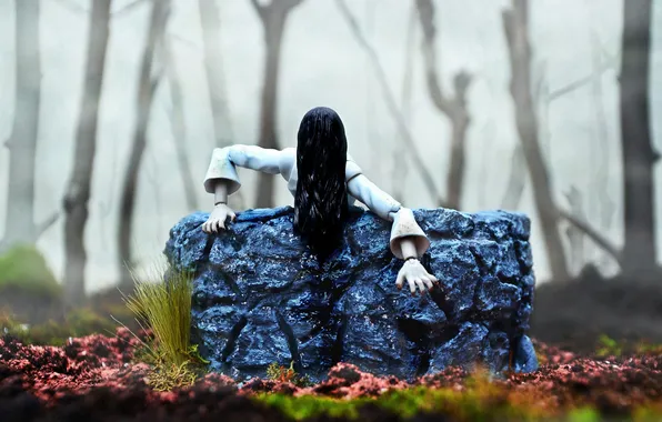 Картинка лес, туман, волосы, игрушки, колодец, The Ring, Sadako Yamamura