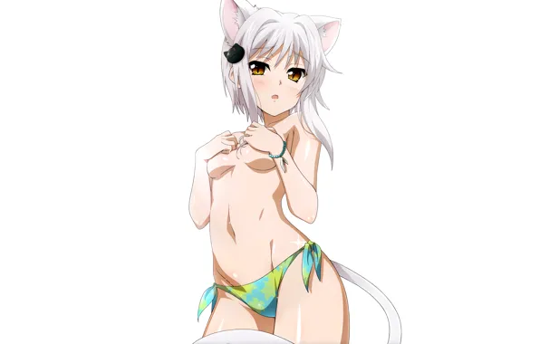 Girl, sexy, boobs, animal ears, anime, beautiful, short hair, pretty