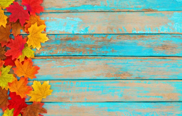 Картинка осень, листья, фон, colorful, wood, background, autumn, leaves