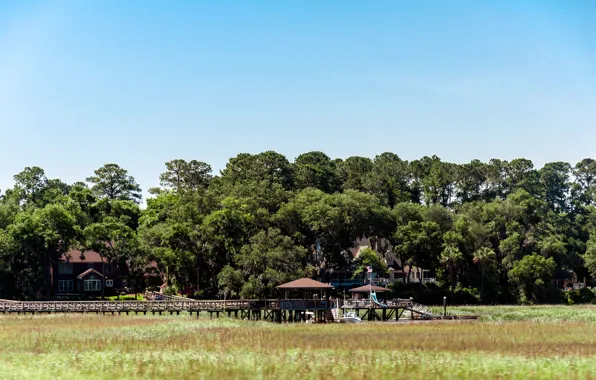 Дом, остров, болото, house, grass, georgia, сша, water