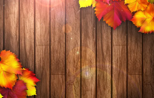 Дерево, colorful, wood, texture, autumn, leaves, осенние листья