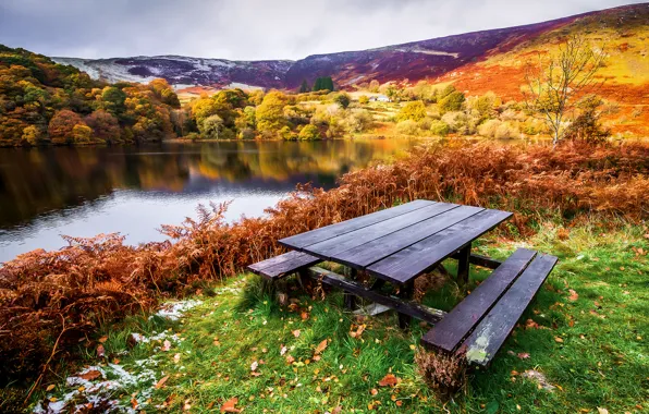 Картинка осень, трава, листья, деревья, пейзаж, река, стол, берег