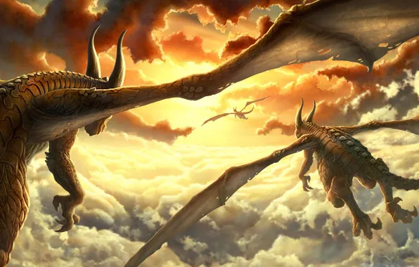 Картинка солнце, облака, закат, крылья, драконы
