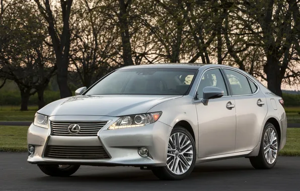 Деревья, Lexus, Лексус, седан, передок, 350