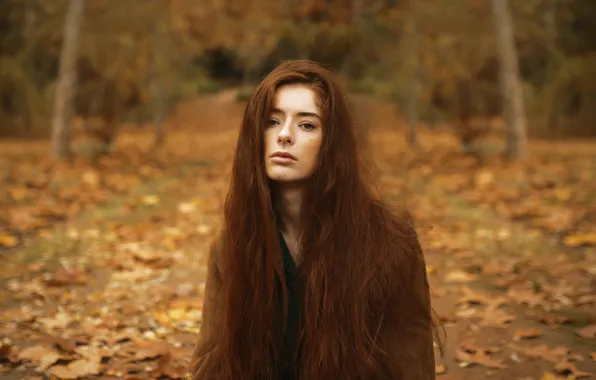 Картинка девушка, рыжеволосая, длинные волосы, боке, меланхолия, осенний лес