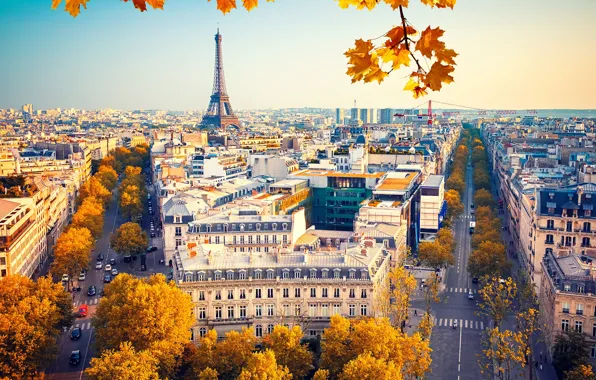 Картинка осень, небо, листья, солнце, деревья, ветки, Франция, Париж