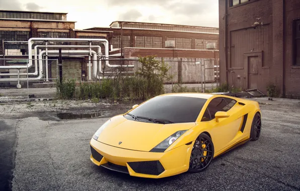 Картинка жёлтый, Lamborghini, yellow, Gallardo, ламборджини, галлардо