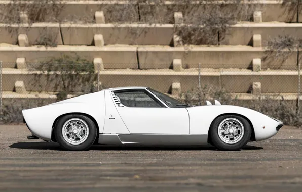 Авто, Lamborghini, Белый, Машина, 1971, Автомобиль, Supercar, Сбоку
