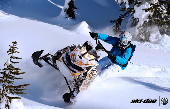 Картинка снег, спорт, sport, ёлка, snow, снегоход, freeride, snowmobile