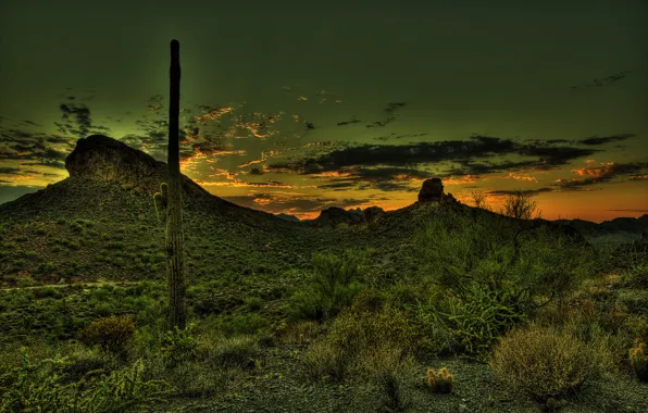 Картинка закат, горы, пустыня, HDR, кактус, Мексика