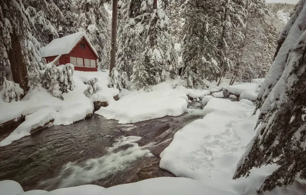 Зима, лес, снег, деревья, дом, ручей, сугробы, речка