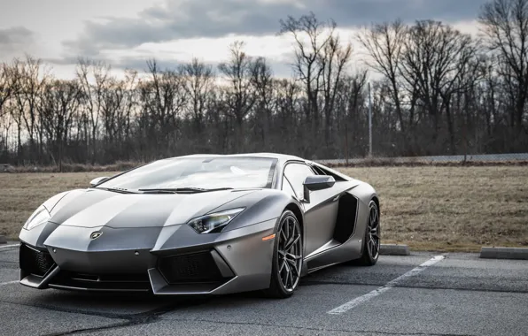 Картинка lamborghini, parking, aventador, gray