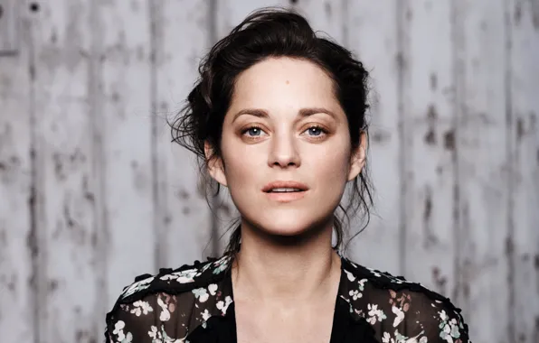 Фон, портрет, актриса, брюнетка, Марион Котийяр, Marion Cotillard, Dior, Jan Welters