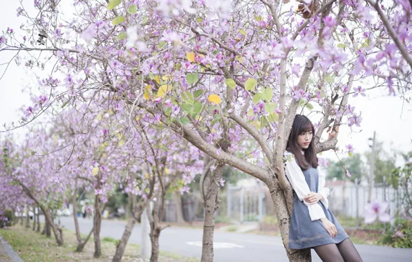 Beautiful, Asian, Model, Flower, Tree, Woman, Pretty, Japanese