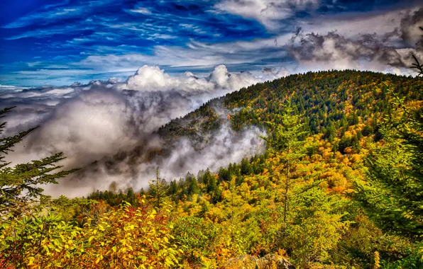 Картинка осень, лес, небо, облака, деревья, горы