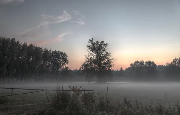 Картинка поле, туман, Природа, утро, field, nature, morning, fog