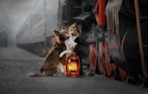 Картинка поезд, паровоз, перрон, фонарь, парочка, друзья, две собаки, Светлана Писарева