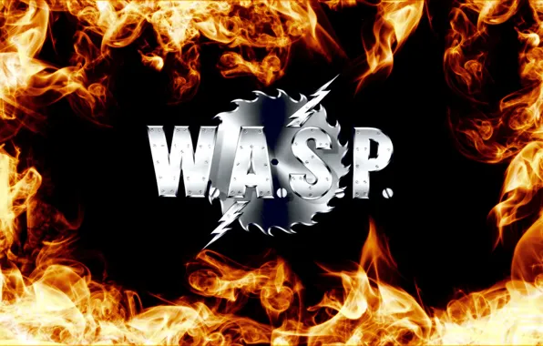 Картинка огни, rock, рок, Wasp