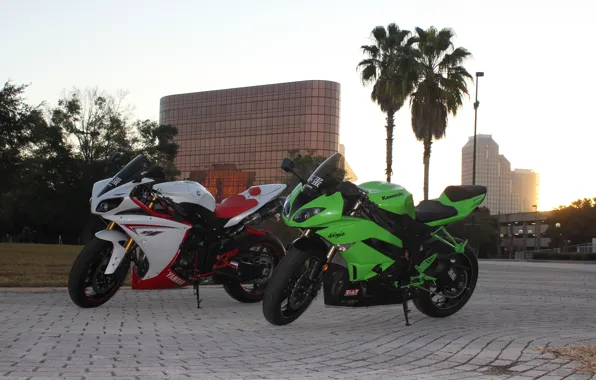 kawasaki ninja white and green