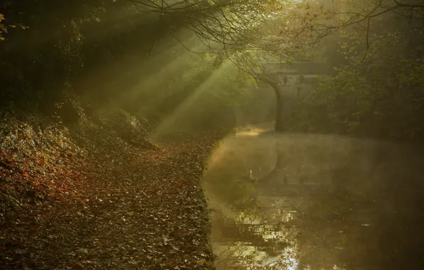 Картинка осень, лучи, мост, отражение, река, листва, Англия, канал