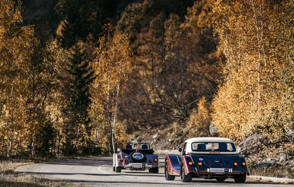 Cars, trees, Morgan, rear view, Morgan Plus Six, Plus Six, Plus Four, Morgan Plus Four