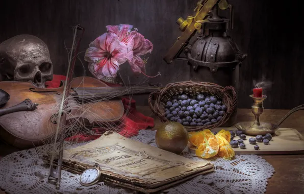 Ягоды, скрипка, череп