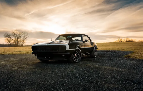 Природа, дизайн, стиль, черный, camaro, chevrolet