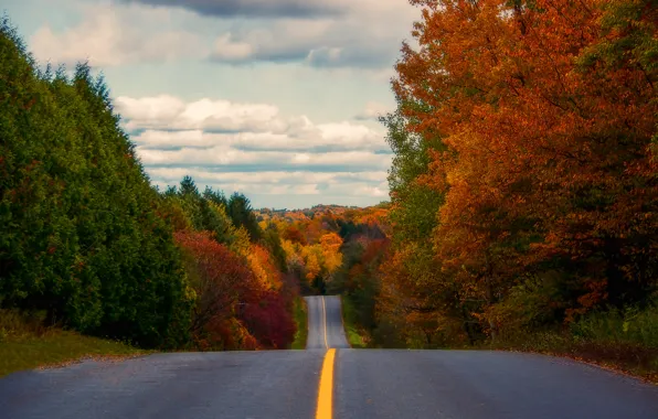 Дорога, осень, лес, небо, облака, деревья