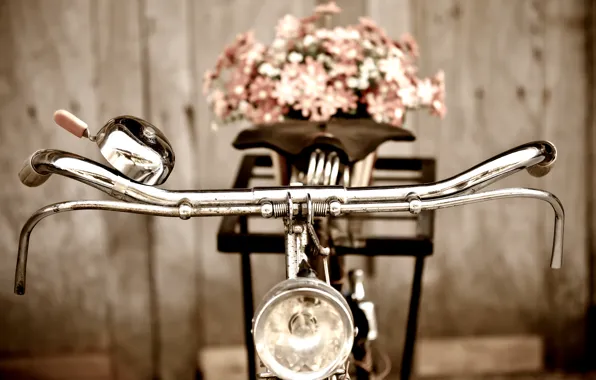 Картинка цветы, велосипед, ретро, букет, flowers, флористика