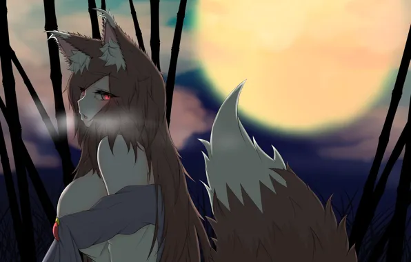 Девушка, ночь, луна, фэнтези, лисица, Touhou Project, Kagerou Imaizumi