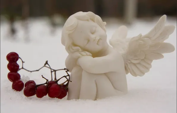 Картинка снег, ягоды, сон, ангел, Москва, Лефортовский парк