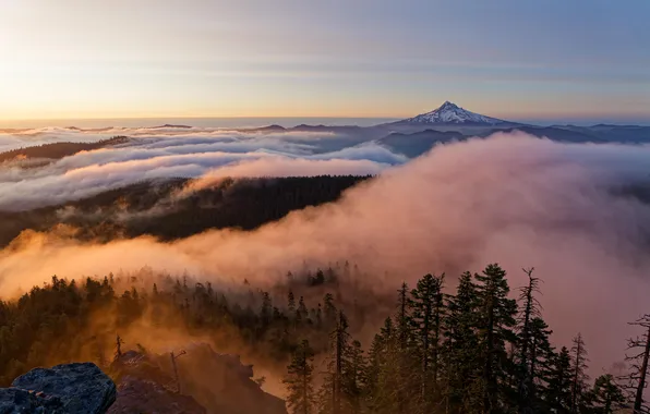 Лес, деревья, горы, туман, скалы, рассвет, USA, Oregon