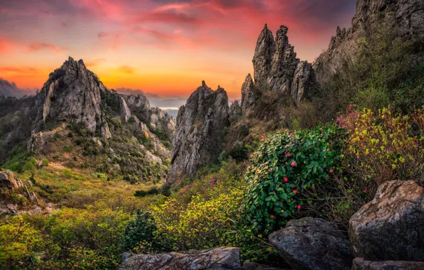 Небо, цветы, горы, камни, скалы, кусты